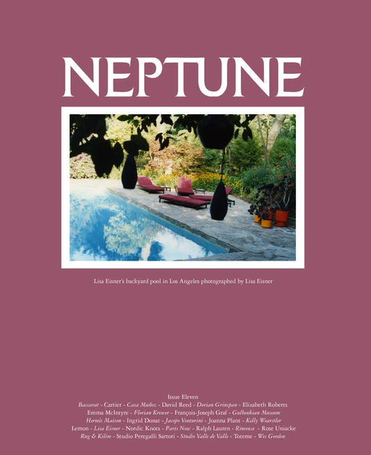 Neptune Papers Issue Eleven - Cover Two: Lisa Eisner's Los Angeles backyard